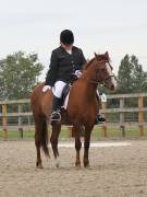 Image 127 in BROADLAND EQUESTRIAN CENTRE. DRESSAGE. 8TH SEPTEMBER 2018