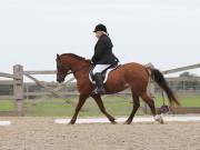 Image 128 in BROADLAND EQUESTRIAN CENTRE. DRESSAGE. 8TH SEPTEMBER 2018