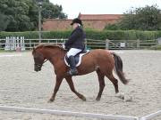 Image 130 in BROADLAND EQUESTRIAN CENTRE. DRESSAGE. 8TH SEPTEMBER 2018