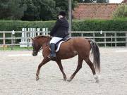 Image 131 in BROADLAND EQUESTRIAN CENTRE. DRESSAGE. 8TH SEPTEMBER 2018