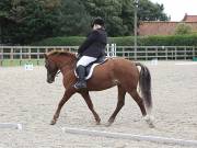 Image 132 in BROADLAND EQUESTRIAN CENTRE. DRESSAGE. 8TH SEPTEMBER 2018