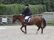 Image 137 in BROADLAND EQUESTRIAN CENTRE. DRESSAGE. 8TH SEPTEMBER 2018