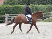 Image 139 in BROADLAND EQUESTRIAN CENTRE. DRESSAGE. 8TH SEPTEMBER 2018