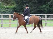 Image 141 in BROADLAND EQUESTRIAN CENTRE. DRESSAGE. 8TH SEPTEMBER 2018