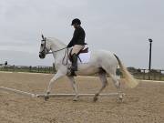 Image 142 in BROADLAND EQUESTRIAN CENTRE. DRESSAGE. 8TH SEPTEMBER 2018