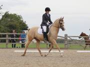 Image 151 in BROADLAND EQUESTRIAN CENTRE. DRESSAGE. 8TH SEPTEMBER 2018