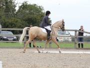 Image 163 in BROADLAND EQUESTRIAN CENTRE. DRESSAGE. 8TH SEPTEMBER 2018