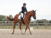 Image 164 in BROADLAND EQUESTRIAN CENTRE. DRESSAGE. 8TH SEPTEMBER 2018