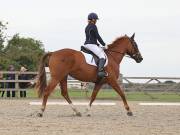 Image 168 in BROADLAND EQUESTRIAN CENTRE. DRESSAGE. 8TH SEPTEMBER 2018