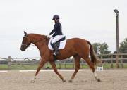 Image 170 in BROADLAND EQUESTRIAN CENTRE. DRESSAGE. 8TH SEPTEMBER 2018