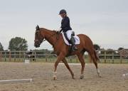 Image 172 in BROADLAND EQUESTRIAN CENTRE. DRESSAGE. 8TH SEPTEMBER 2018