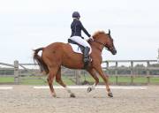 Image 173 in BROADLAND EQUESTRIAN CENTRE. DRESSAGE. 8TH SEPTEMBER 2018