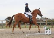 Image 174 in BROADLAND EQUESTRIAN CENTRE. DRESSAGE. 8TH SEPTEMBER 2018