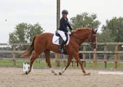 Image 175 in BROADLAND EQUESTRIAN CENTRE. DRESSAGE. 8TH SEPTEMBER 2018