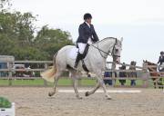 Image 179 in BROADLAND EQUESTRIAN CENTRE. DRESSAGE. 8TH SEPTEMBER 2018