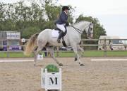 Image 180 in BROADLAND EQUESTRIAN CENTRE. DRESSAGE. 8TH SEPTEMBER 2018