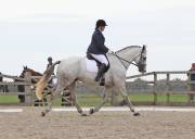 Image 181 in BROADLAND EQUESTRIAN CENTRE. DRESSAGE. 8TH SEPTEMBER 2018
