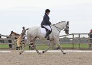 Image 181 in BROADLAND EQUESTRIAN CENTRE. DRESSAGE. 8TH SEPTEMBER 2018