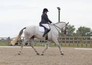 Image 182 in BROADLAND EQUESTRIAN CENTRE. DRESSAGE. 8TH SEPTEMBER 2018