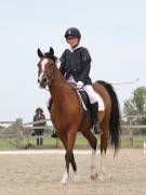 Image 188 in BROADLAND EQUESTRIAN CENTRE. DRESSAGE. 8TH SEPTEMBER 2018