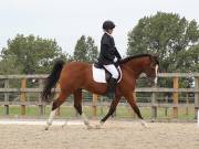 Image 189 in BROADLAND EQUESTRIAN CENTRE. DRESSAGE. 8TH SEPTEMBER 2018