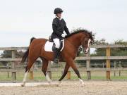 Image 191 in BROADLAND EQUESTRIAN CENTRE. DRESSAGE. 8TH SEPTEMBER 2018