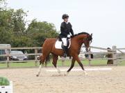 Image 192 in BROADLAND EQUESTRIAN CENTRE. DRESSAGE. 8TH SEPTEMBER 2018