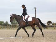 Image 199 in BROADLAND EQUESTRIAN CENTRE. DRESSAGE. 8TH SEPTEMBER 2018