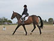 Image 2 in BROADLAND EQUESTRIAN CENTRE. DRESSAGE. 8TH SEPTEMBER 2018