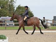 Image 20 in BROADLAND EQUESTRIAN CENTRE. DRESSAGE. 8TH SEPTEMBER 2018