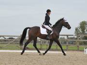 Image 203 in BROADLAND EQUESTRIAN CENTRE. DRESSAGE. 8TH SEPTEMBER 2018