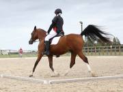 Image 210 in BROADLAND EQUESTRIAN CENTRE. DRESSAGE. 8TH SEPTEMBER 2018