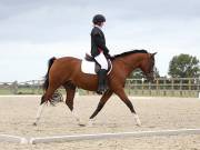 Image 212 in BROADLAND EQUESTRIAN CENTRE. DRESSAGE. 8TH SEPTEMBER 2018