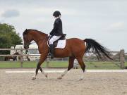 Image 219 in BROADLAND EQUESTRIAN CENTRE. DRESSAGE. 8TH SEPTEMBER 2018