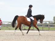 Image 220 in BROADLAND EQUESTRIAN CENTRE. DRESSAGE. 8TH SEPTEMBER 2018