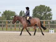 Image 24 in BROADLAND EQUESTRIAN CENTRE. DRESSAGE. 8TH SEPTEMBER 2018