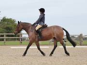 Image 32 in BROADLAND EQUESTRIAN CENTRE. DRESSAGE. 8TH SEPTEMBER 2018