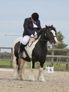 Image 71 in BROADLAND EQUESTRIAN CENTRE. DRESSAGE. 8TH SEPTEMBER 2018