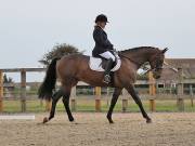 Image 8 in BROADLAND EQUESTRIAN CENTRE. DRESSAGE. 8TH SEPTEMBER 2018