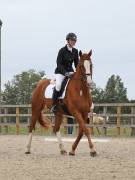 Image 86 in BROADLAND EQUESTRIAN CENTRE. DRESSAGE. 8TH SEPTEMBER 2018