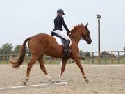 Image 88 in BROADLAND EQUESTRIAN CENTRE. DRESSAGE. 8TH SEPTEMBER 2018