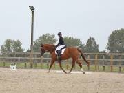 Image 95 in BROADLAND EQUESTRIAN CENTRE. DRESSAGE. 8TH SEPTEMBER 2018