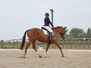 Image 96 in BROADLAND EQUESTRIAN CENTRE. DRESSAGE. 8TH SEPTEMBER 2018