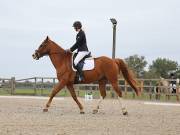 Image 98 in BROADLAND EQUESTRIAN CENTRE. DRESSAGE. 8TH SEPTEMBER 2018