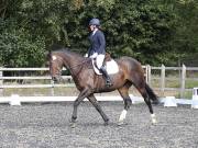 Image 107 in OPTIMUM EVENT MANAGEMENT. DRESSAGE AT GROVE HOUSE FARM. 9th SEPTEMBER 2018