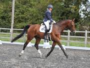 Image 108 in OPTIMUM EVENT MANAGEMENT. DRESSAGE AT GROVE HOUSE FARM. 9th SEPTEMBER 2018