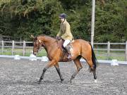 Image 109 in OPTIMUM EVENT MANAGEMENT. DRESSAGE AT GROVE HOUSE FARM. 9th SEPTEMBER 2018