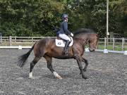 Image 112 in OPTIMUM EVENT MANAGEMENT. DRESSAGE AT GROVE HOUSE FARM. 9th SEPTEMBER 2018