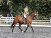Image 113 in OPTIMUM EVENT MANAGEMENT. DRESSAGE AT GROVE HOUSE FARM. 9th SEPTEMBER 2018