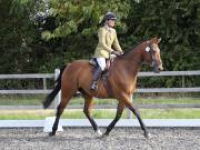 Image 114 in OPTIMUM EVENT MANAGEMENT. DRESSAGE AT GROVE HOUSE FARM. 9th SEPTEMBER 2018